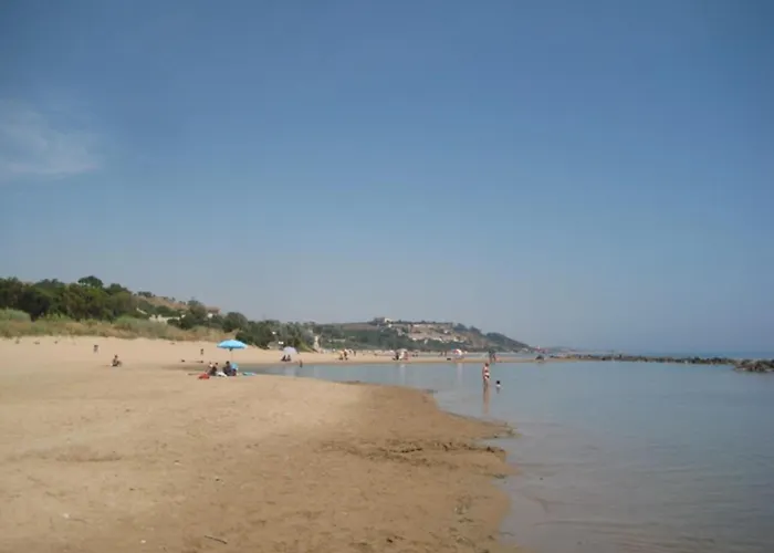 Le Zarafe