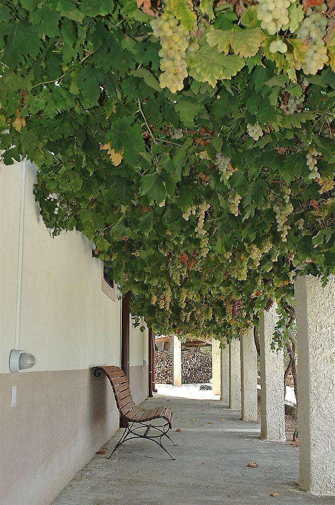 Le Zarafe Farm stay